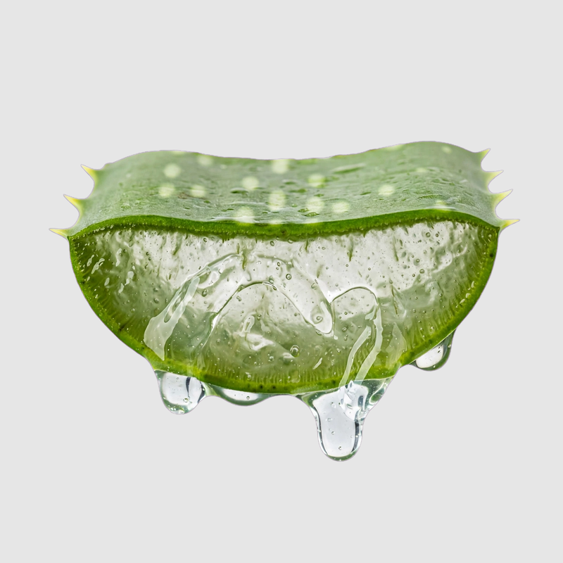 Aloe Vera Extract